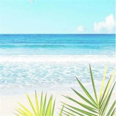 xk星空网官网登录入口